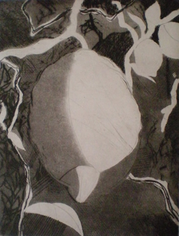 Lemons On The Lemon Tree etching